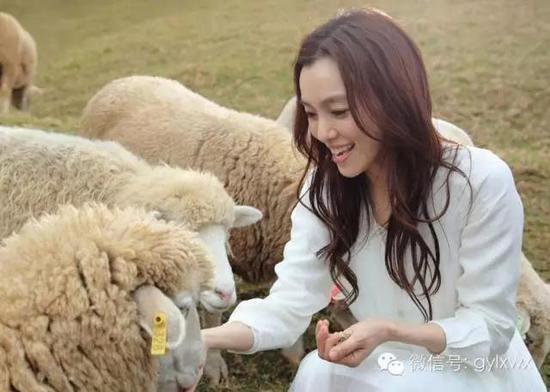 明星旅行糗事一籮筐 總有一個(gè)萌到你!