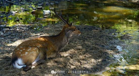 童話世界 攝影/爾冬