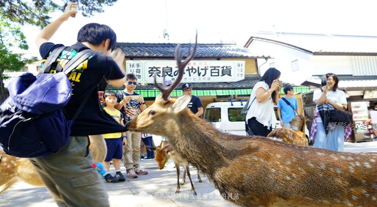 君子動口不動手 攝影/爾冬