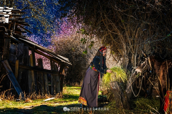 川藏線上的驚與艷 我們丟掉的魂