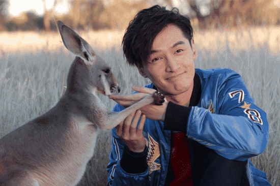 小袋鼠還有親到胡歌喲!