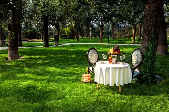 秋陽鴻園,芳草青青 秋陽鴻園,芳草青青