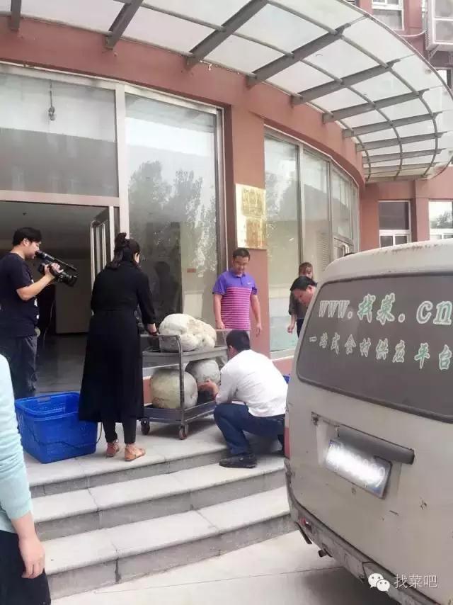 找菜網認購百萬斤冬瓜,解農戶燃眉之急 找菜網認購百萬斤冬瓜,解農戶燃眉之急