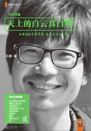 天上的白云真白啊:當(dāng)下最受爭議詩人的詩集 天上的白云真白啊:當(dāng)下最受爭議詩人的詩集