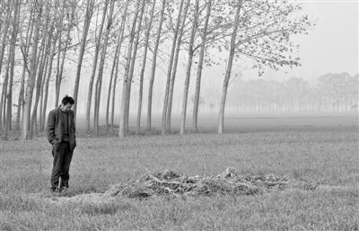 11月21日，高松中站在腦癱雙胞胎兒子墳前。