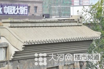 鄭州花園路“飛機(jī)樓”也要拆?去留引發(fā)關(guān)注