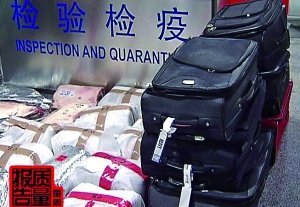 不少所謂“神戶”牛肉根本未經檢疫。