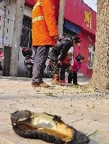 老漢右腿燒傷,樹(shù)下扔了一只燒焦的鞋 老漢右腿燒傷,樹(shù)下扔了一只燒焦的鞋