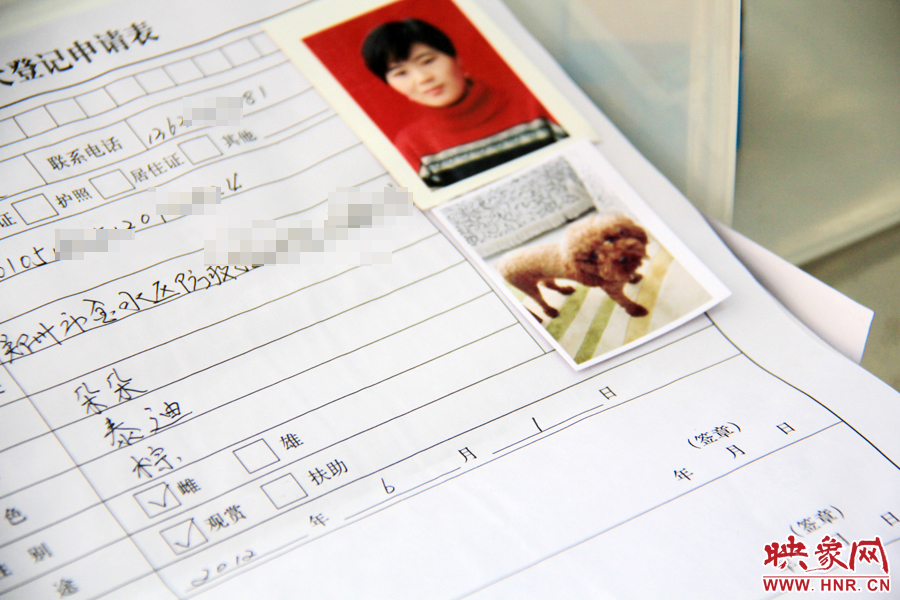 辦理狗證,需要填寫申請表 辦理狗證,需要填寫申請表