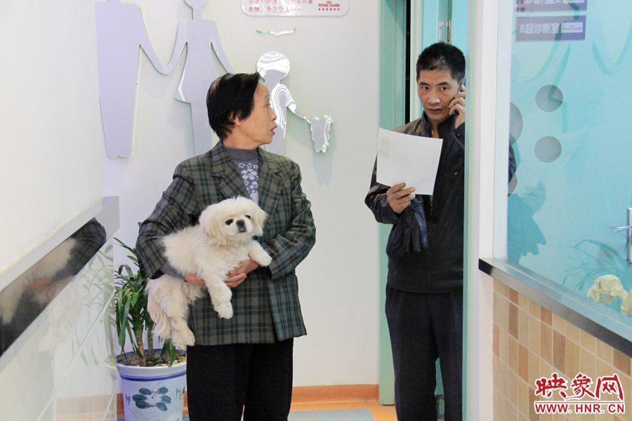 市民在等著為愛犬注射芯片 市民在等著為愛犬注射芯片