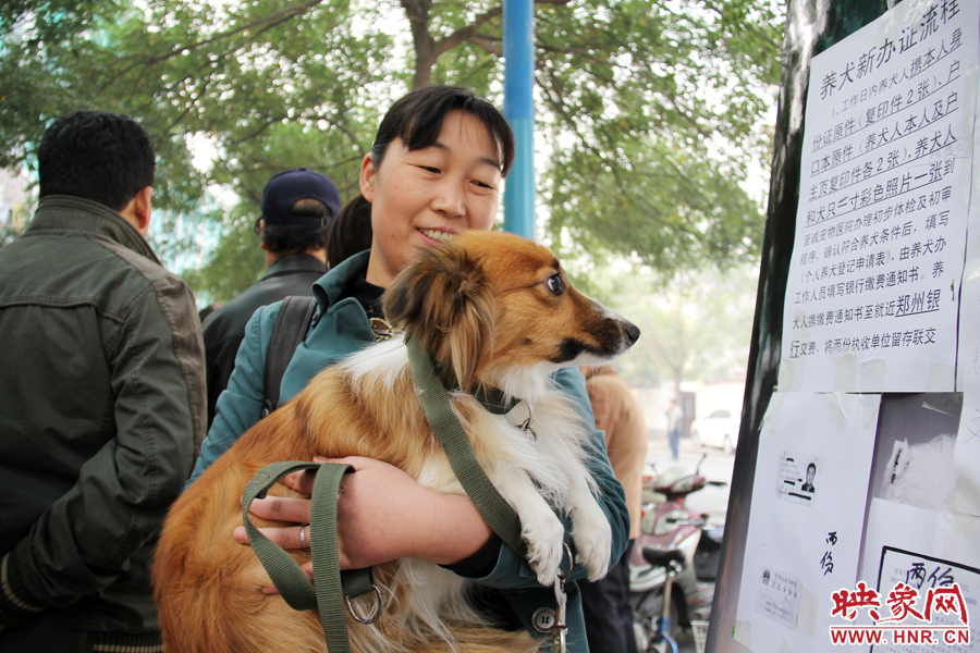 一只狗狗在“看”養(yǎng)狗須知 一只狗狗在“看”養(yǎng)狗須知