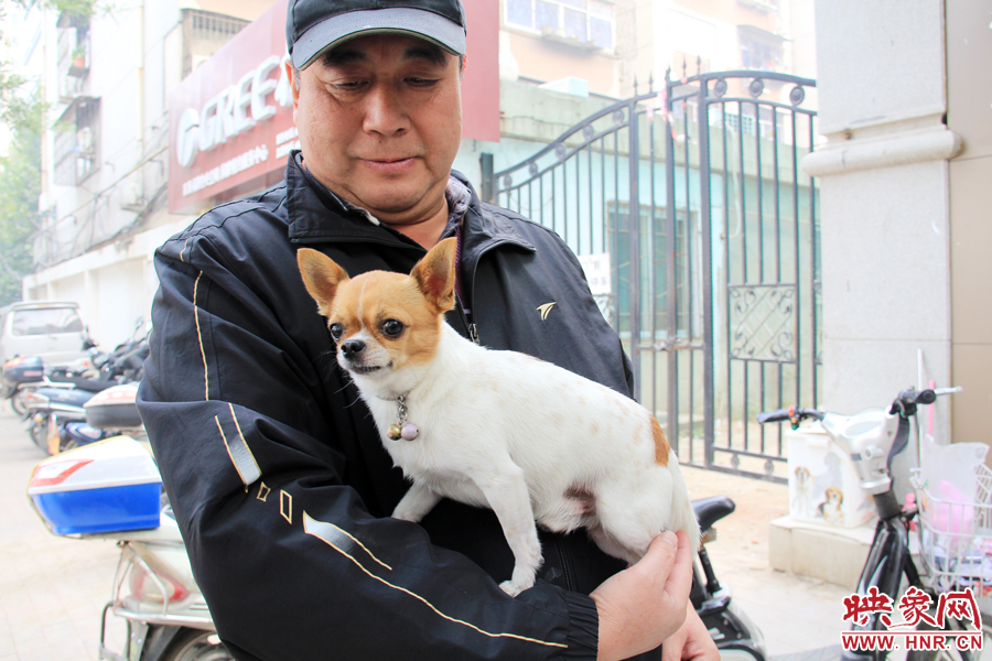 在市民眼里,小狗狗都是他們的小寶貝 在市民眼里,小狗狗都是他們的小寶貝