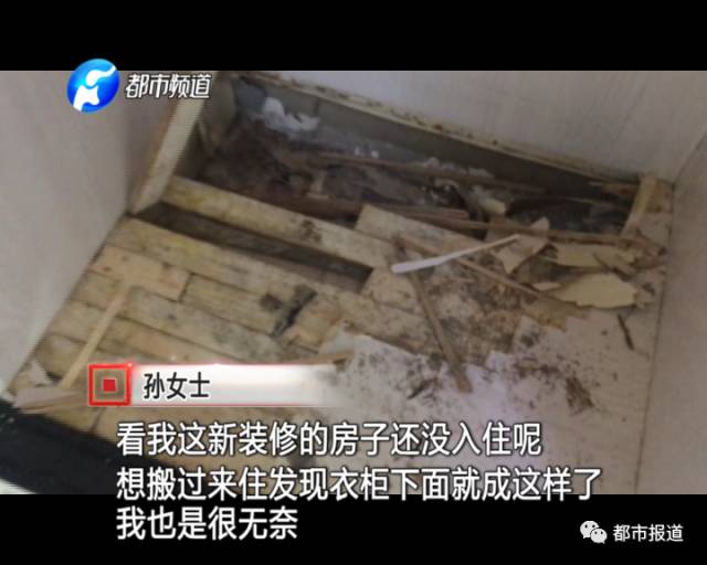 蟻族大軍入侵!十幾萬裝修的新家被“吃掉”