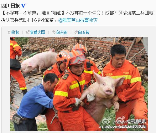 成都軍區(qū)救援隊官兵幫助村民搶救家畜