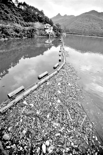 7月7日，廣西賀州市賀江合面獅段被污染的水域。據新華社