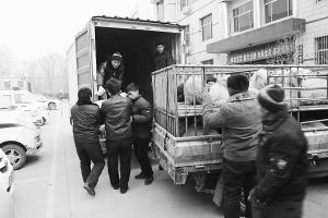 　　■返還追回的被搶綿羊。 本報記者董世杰攝