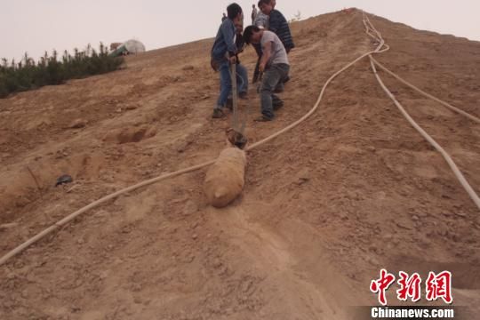4月27日上午,當?shù)卮迕裨诠系販洗逡痪G化處挖出一枚長1米,重200斤的炸彈,5月10日,這枚炸彈已 4月27日上午,當?shù)卮迕裨诠系販洗逡痪G化處挖出一枚長1米,重200斤的炸彈,5月10日,這枚炸彈已