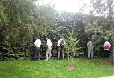 頤和園綠地內數十游客小便引外國游客拍照 頤和園綠地內數十游客小便引外國游客拍照