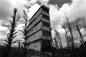 這幢5層的“片片樓”周圍已是一片拆遷后的廢墟，左邊的一堵墻上，不少鋼筋裸露在外面 圖片來(lái)源：新華網(wǎng)