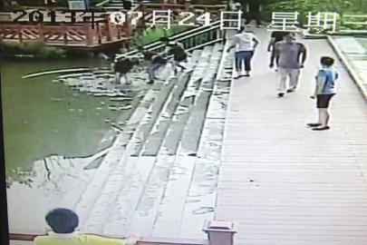 救人現(xiàn)場(chǎng)的視頻截圖。(監(jiān)控截圖) 救人現(xiàn)場(chǎng)的視頻截圖。(監(jiān)控截圖)