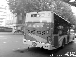 就是這輛9路車的司機幫孕婦“要”座位 網絡圖片 就是這輛9路車的司機幫孕婦“要”座位 網絡圖片