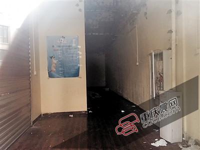 寵物店關門 我家生病的狗狗去哪兒了 寵物店關門 我家生病的狗狗去哪兒了