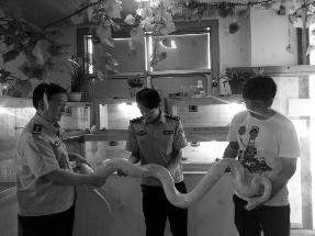 在校大學生網上販賣珍貴野生動物 稱因家境困難