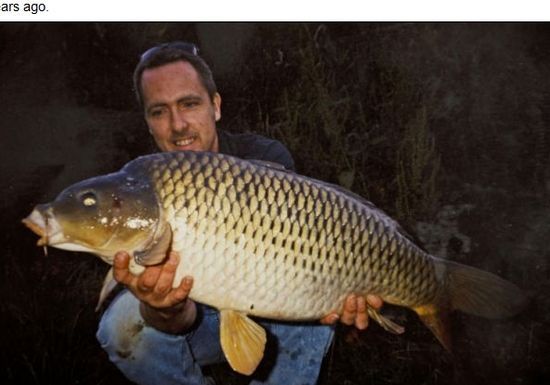 英國男子捕獲14年前放生巨鯉 鯉魚體重翻番 英國男子捕獲14年前放生巨鯉 鯉魚體重翻番