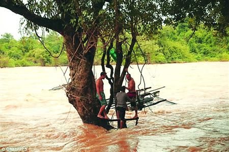 蓋屋、種菜,“從沒這樣快樂” 蓋屋、種菜,“從沒這樣快樂”