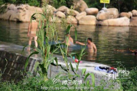 網友曝光的現場圖片。（圖片來自網絡）