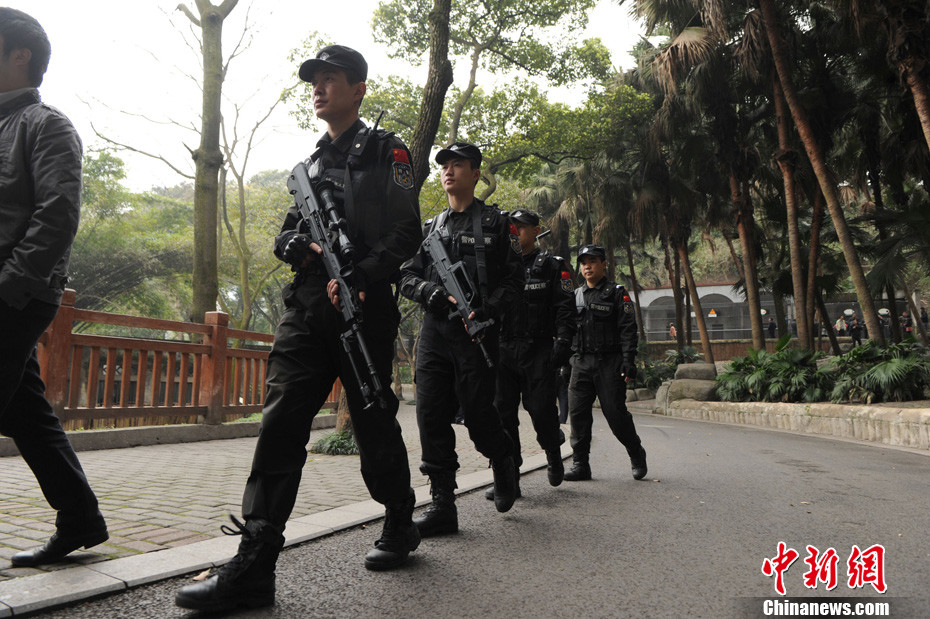 重慶動物園兩頭獅子“越獄” 已被麻醉移至籠舍 重慶動物園兩頭獅子“越獄” 已被麻醉移至籠舍