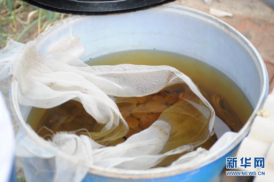 地下水成“綠茶” 污染二十多年該誰治? 地下水成“綠茶” 污染二十多年該誰治?