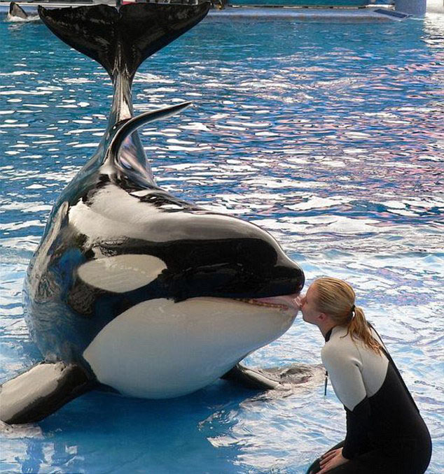 "美人魚情侶"的唯美愛情 "美人魚情侶"的唯美愛情