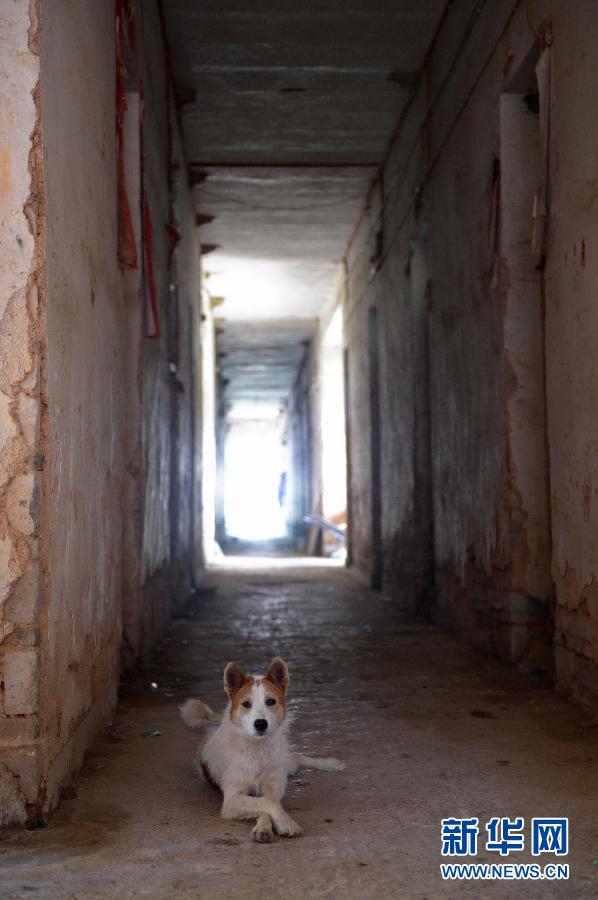 農(nóng)場(chǎng)棚戶區(qū)的最后留守家庭:留下的是回憶,迎來(lái)的是幸福 農(nóng)場(chǎng)棚戶區(qū)的最后留守家庭:留下的是回憶,迎來(lái)的是幸福