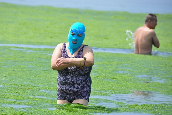 2013年7月3日,山東青島青島高溫來襲,“青島大媽”不懼滸苔,戴著“強(qiáng)盜面具”出現(xiàn)在海水浴場消暑降 2013年7月3日,山東青島青島高溫來襲,“青島大媽”不懼滸苔,戴著“強(qiáng)盜面具”出現(xiàn)在海水浴場消暑降