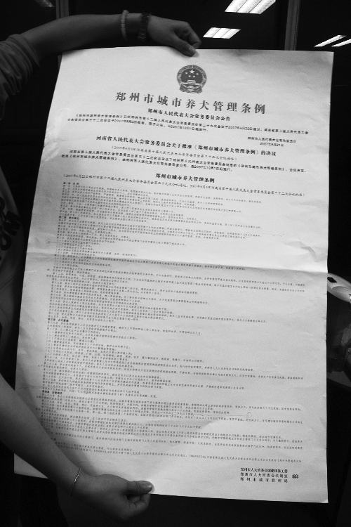 鄭州城市養犬管理條例多處現錯別字 鄭州城市養犬管理條例多處現錯別字