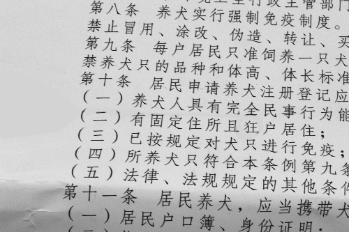 鄭州城市養犬管理條例多處現錯別字 鄭州城市養犬管理條例多處現錯別字