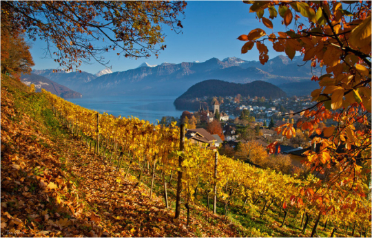 繼續(xù)一段弗里堡的午后時光 繼續(xù)一段弗里堡的午后時光