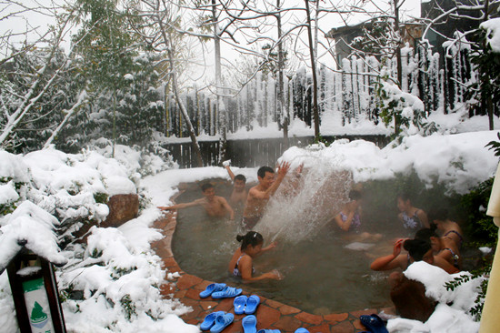 第三屆鄢陵臘梅文化節(jié)盛大開幕邀您來 第三屆鄢陵臘梅文化節(jié)盛大開幕邀您來