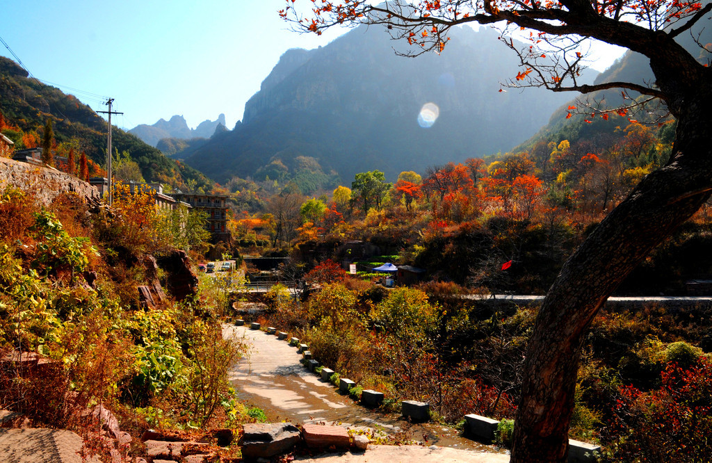 “豫”你相約在三月 尋找河南最早的春色 “豫”你相約在三月 尋找河南最早的春色