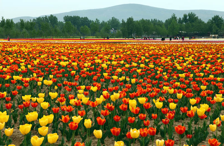 3月旅游進入“女人模式” 約“惠”麗人節 3月旅游進入“女人模式” 約“惠”麗人節