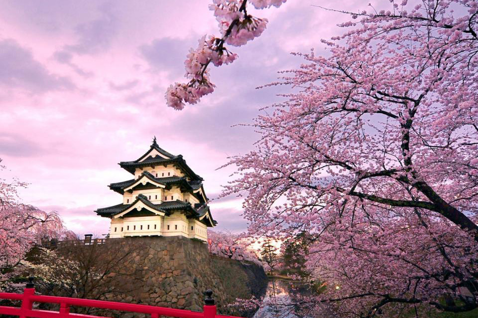 出行去哪兒不用愁 細(xì)數(shù)全球春季實(shí)惠旅行地 出行去哪兒不用愁 細(xì)數(shù)全球春季實(shí)惠旅行地