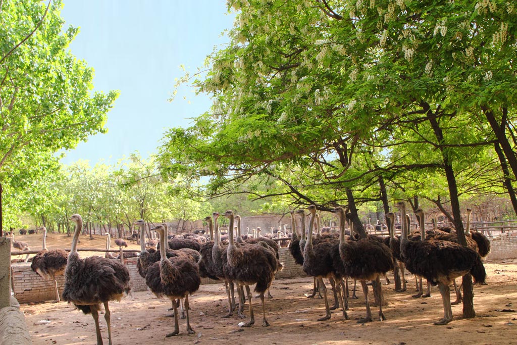 3月開啟"女人模式" 最全約"惠"麗人節景區指南