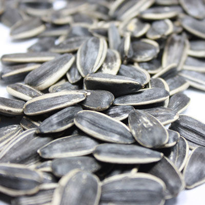 出國(guó)旅游海關(guān)檢查有講究 啥能帶啥不能帶? 出國(guó)旅游海關(guān)檢查有講究 啥能帶啥不能帶?