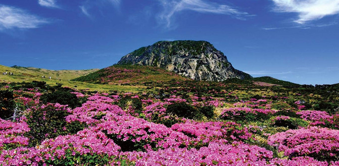 “海途號”韓國江原道包機醉美之旅七月三日首航 “海途號”韓國江原道包機醉美之旅七月三日首航
