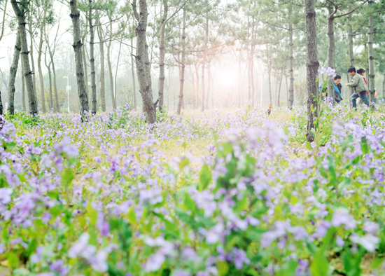 鄭州綠博園將舉辦第三屆端午文化節(jié) 鄭州綠博園將舉辦第三屆端午文化節(jié)