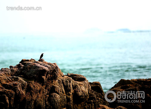 “騎”樂(lè)無(wú)窮 海岸線騎行不挑車型只挑心情