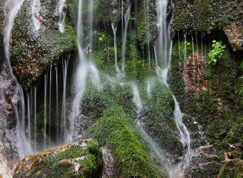 相約金秋暢游養子溝2013秋季野果子采摘的好地方 相約金秋暢游養子溝2013秋季野果子采摘的好地方