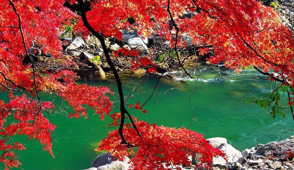 9月 與青天河景區來場約“惠”吧 9月 與青天河景區來場約“惠”吧