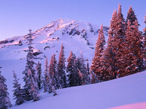 華盛頓，雷尼爾山
